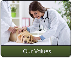 Veterinarian Smiling at Dog Patient