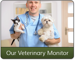 Male Veterinarian Holding Cat and Dog
